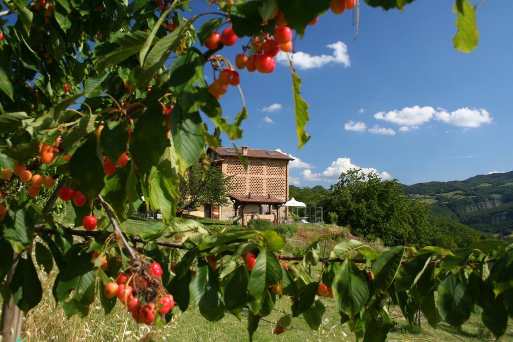 B&B Al Merlo Angelico Pellegrino Parmense Exterior foto